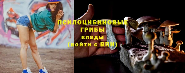 амф Краснослободск