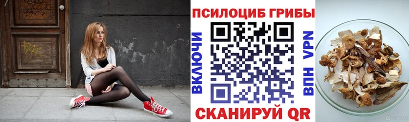 Купить закладки  Набережные Челны  Псилоцибиновые грибы GOLDEN TEACHER 